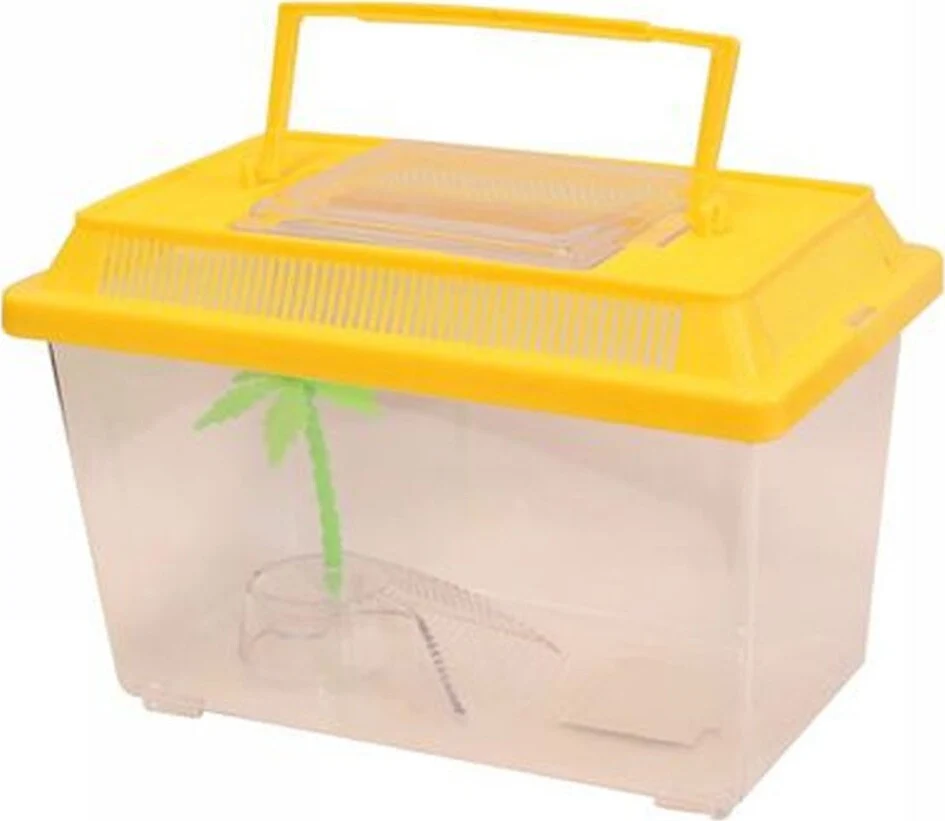 Acquario Vaschetta Pesci Tartarughe Coperchio Maniglia Presa Aria 21x13.5x14 Cm