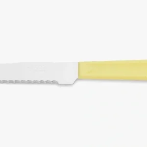 Coltelli da tavola Giallo Polipropilene 210 mm