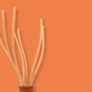 BASTONCINI FIBRA PER PROFUMATORI AMBIENTE