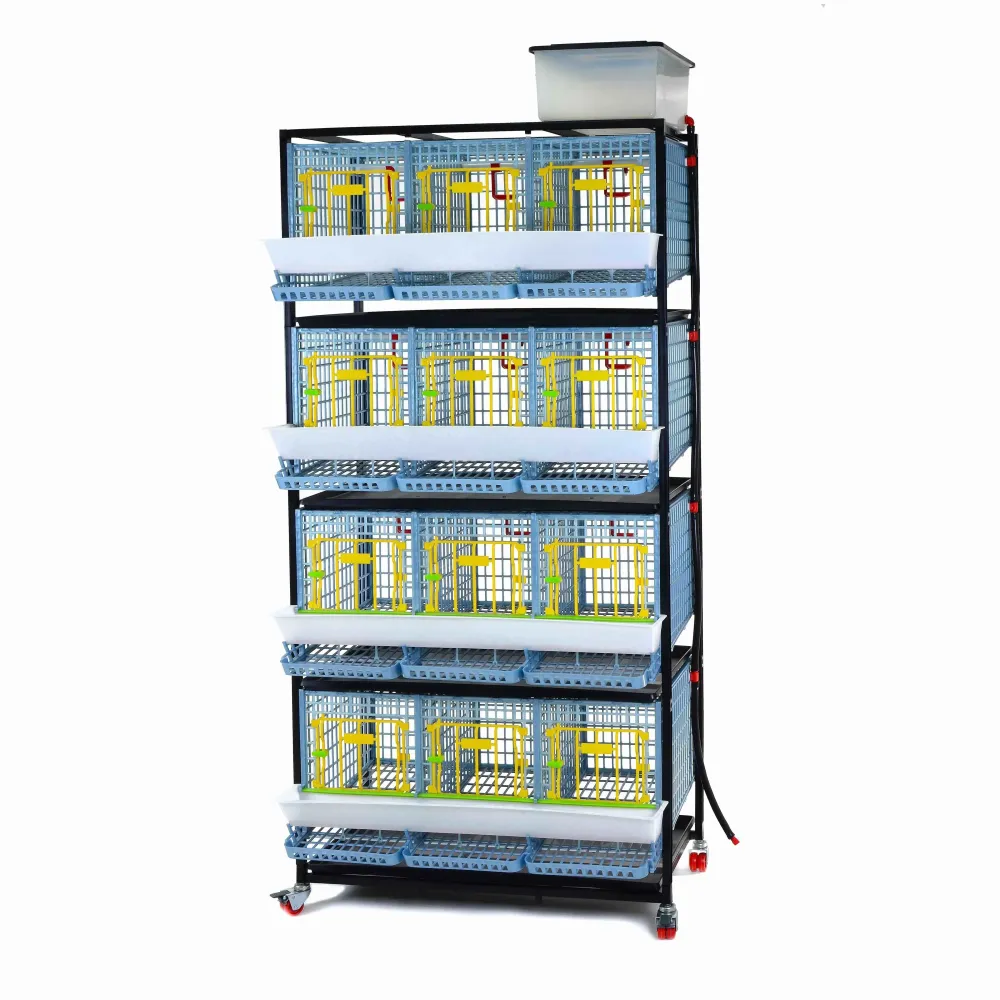 Box per allevamento polli - 4 piani - TYK40-03-4K