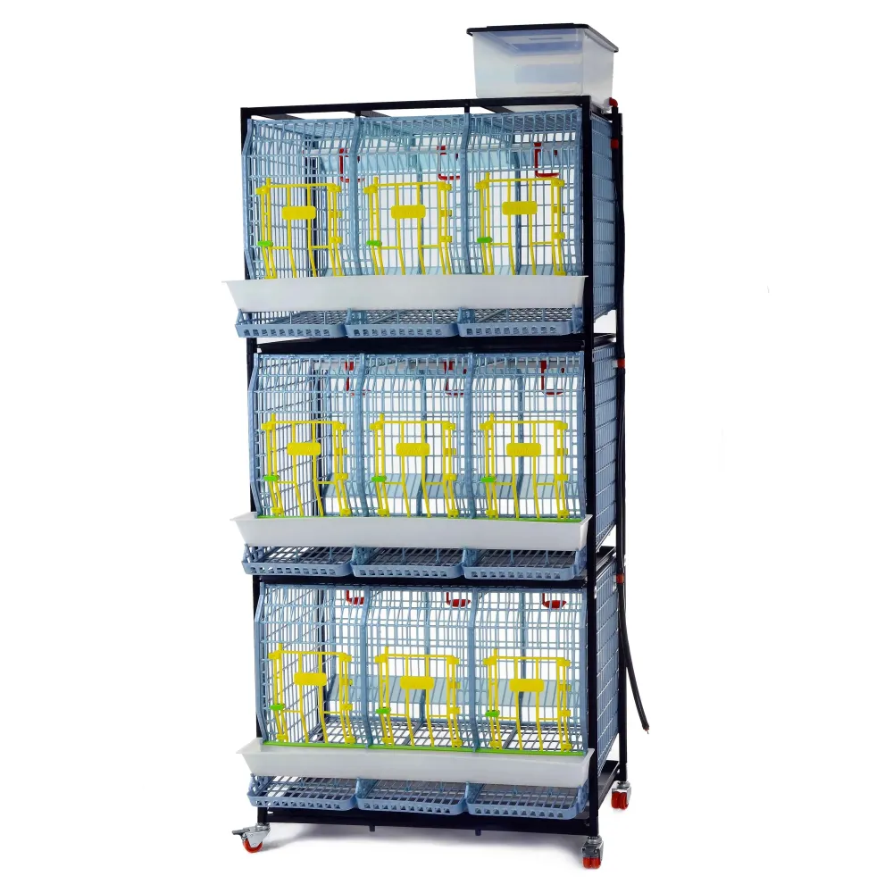 Box per allevamento polli – 3 piani - TYK60-03-3K