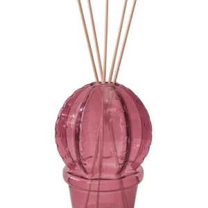 Diffusore di fragranza Prugna Cactus con bastoncini legno Brandani