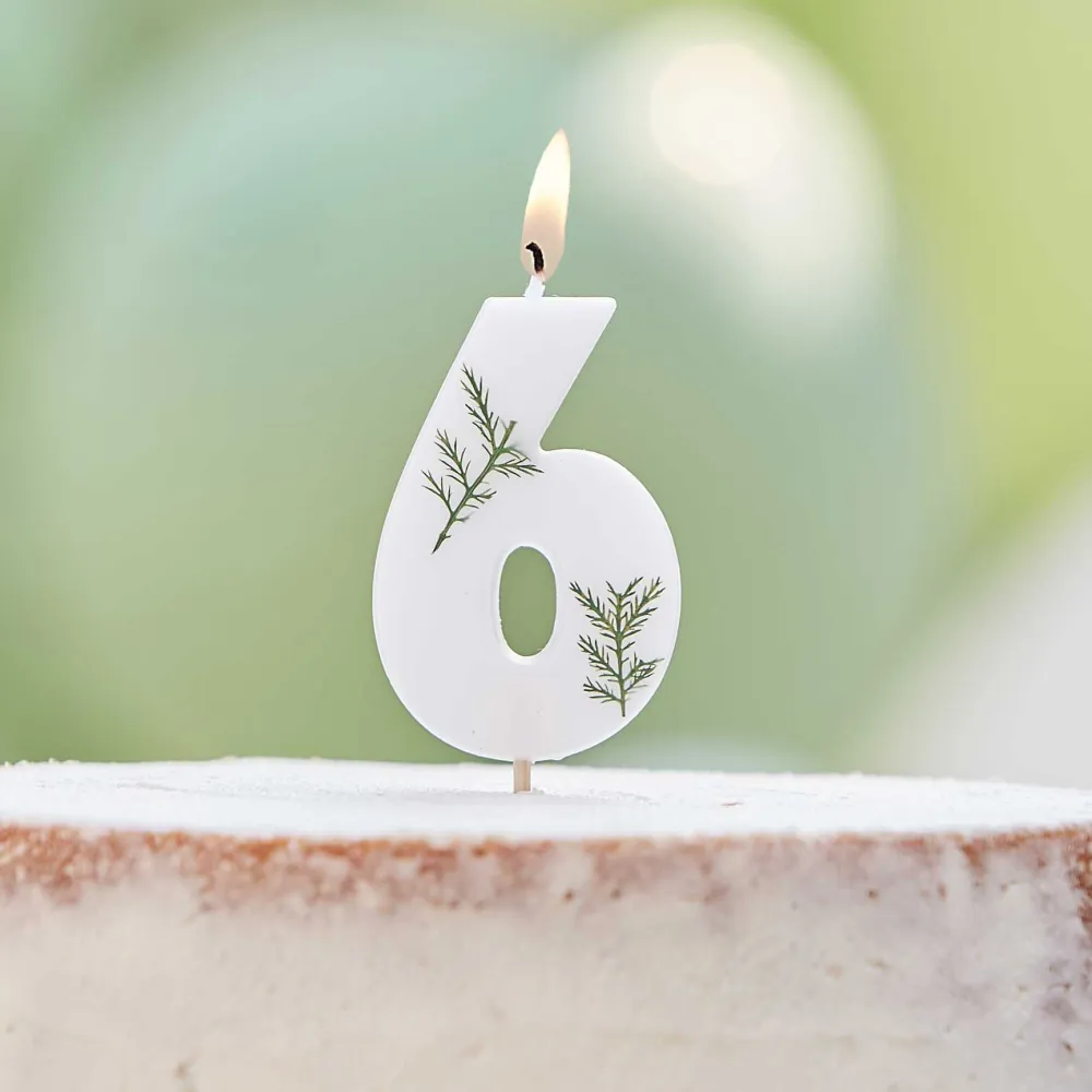 Gingerray Candela per torta Leaf Foliage Numero 6 Candela di compleanno