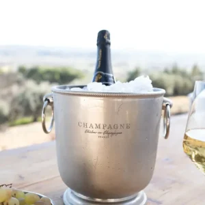 Secchiello per champagne argento con rondelle e design "Champagne".