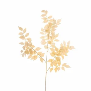 Tralcio foglie bignonia cm.95 champagne