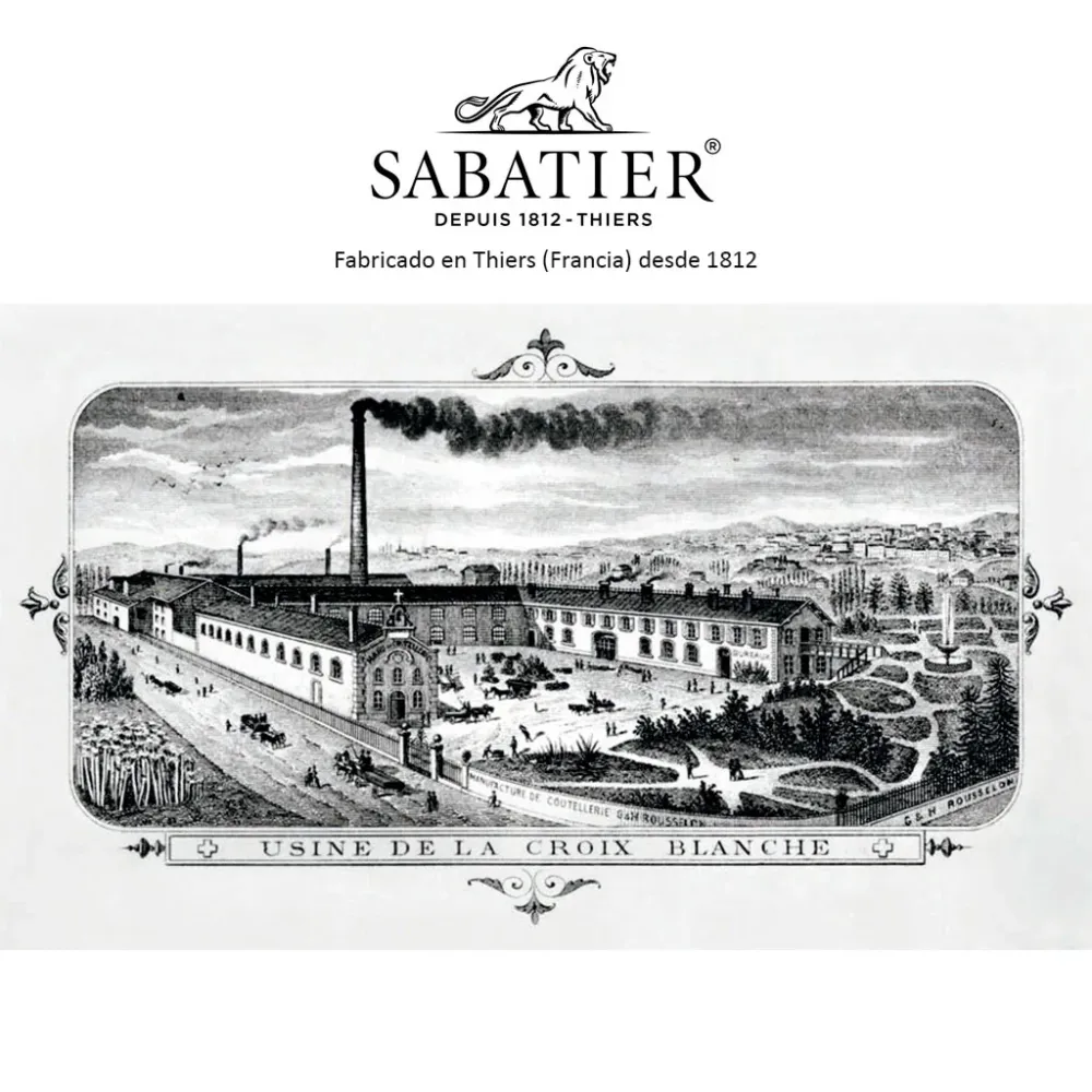 Set di Posate Set di 4 coltelli da carne Egide Sabatier®