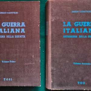 La guerra Italiana - Retroscena della disfatta