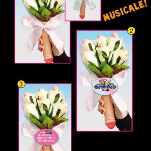 d3341 Gadget Sexy Bouquet Musicale