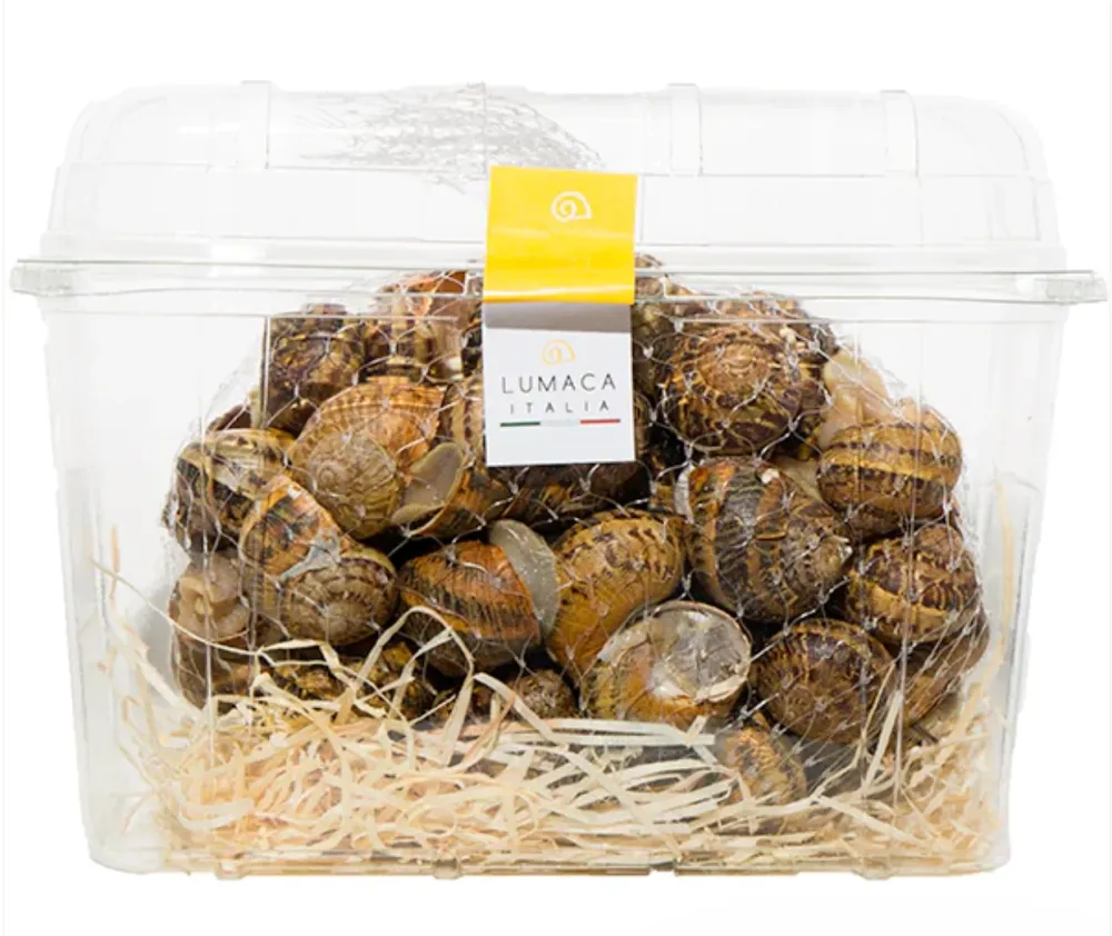 🛒 Kit Risotto al Tartufo e Lumache – Gusto raffinato per veri gourmet! 🍽️